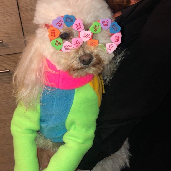 👜  Bijou’s Accessories!  🧳 - Picture 10 of 15